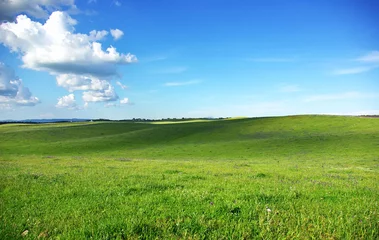 Kissenbezug Green field at Portugal, Alentejo region. © inacio pires