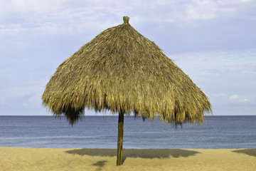 Palm thatched palapa on the beach