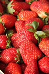 barquette de fraises