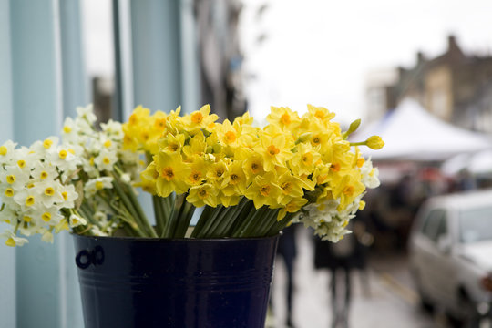 daffodil in basket in flower shop