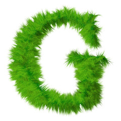 High resolution grass font isolated on white background