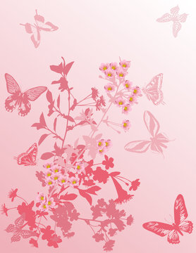 cherry tree flowers and butterflies on pink
