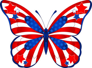 Fototapeta premium USA butterfly