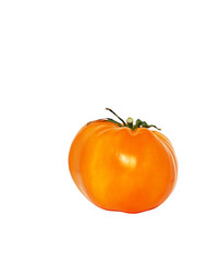 yellow tomato on white background