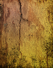 wood grungy background