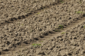 impronta agricoltura terra