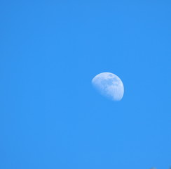 Fototapeta premium moon