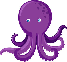 octopus