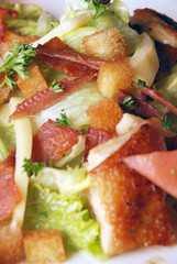 china delicious food—roast duck and vegetable