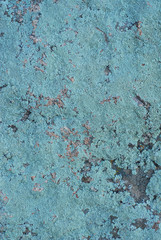 Blue moss on a stone