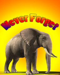 Elephant That Never Forgets