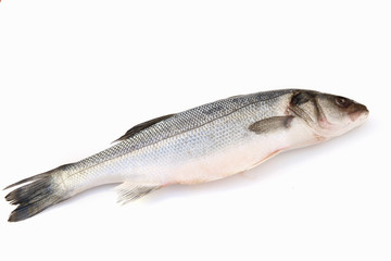branzino su sfondo bianco