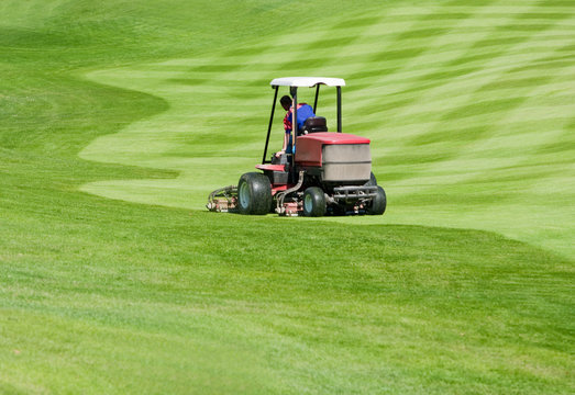 Rasenpflege Golfplatz