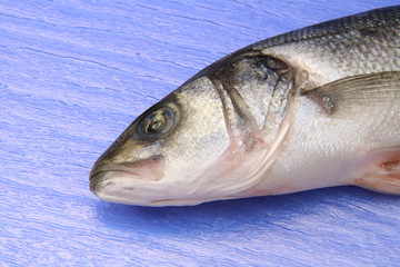 testa del branzino
