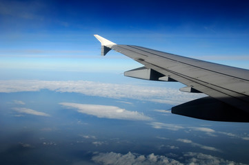 Wing of the plane