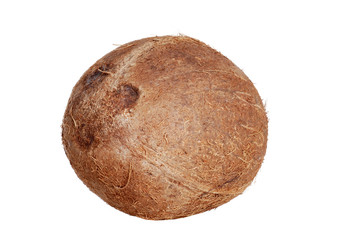 Isolated coconut