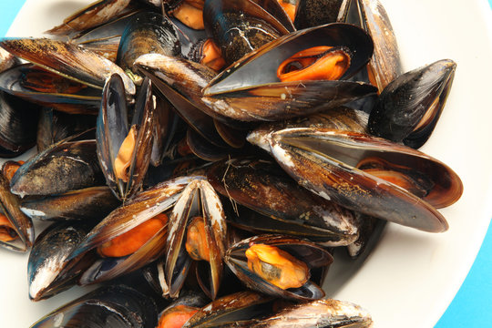 mejillones