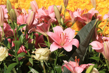 pink and white flower arrangement
