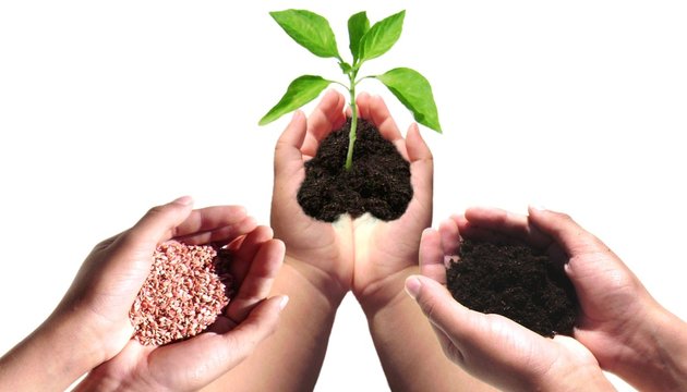Agriculture.