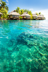 Over water bungalows with steps into green lagoon - obrazy, fototapety, plakaty
