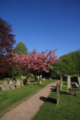 Springtime in the Churchyard