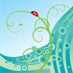 ladybird green curves