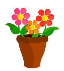 Flowers in pot
