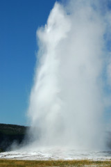 Geyser yellowstone N°1D