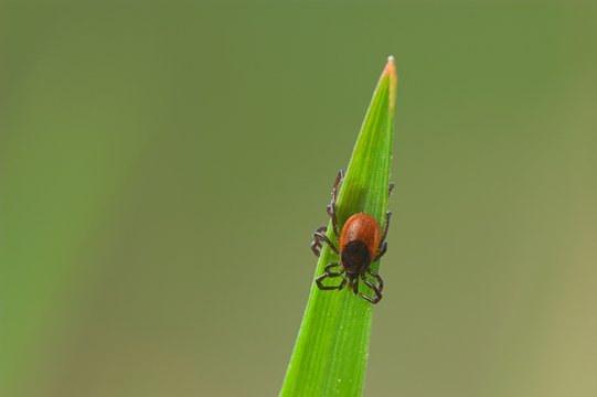 Lauert Images Browse 13 Stock Photos Vectors and Video Adobe Stock Lauert Images Browse 13 Stock Photos Vectors and Video Adobe Stock