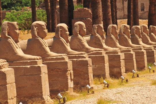 all&eacute;e des sphinx,temple de louxor,egypte