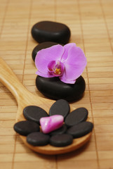 Fototapeta na wymiar spoon with stones and the orchid