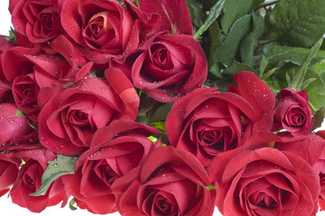 Obraz premium Rose bouquet