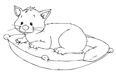 Katze, Kater, Haustier, Kissen, kuscheln
