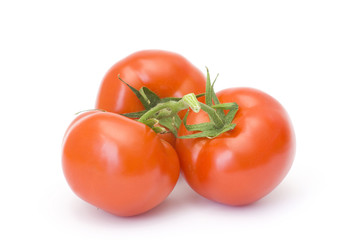 fresh tomatoes