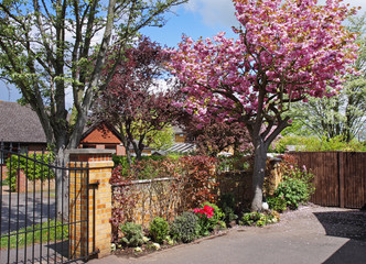 English Front Garden in Spring Blossom
