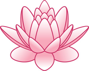 flower lotus