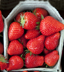 fresh strawberry's on the market
