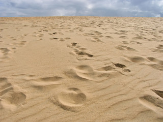 Sand Dune