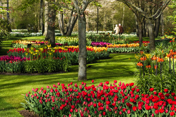 Colorful park in spring - 22412141