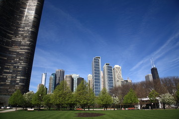 Chicago Skyline