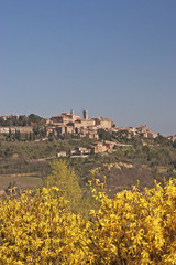 Obraz premium Montepulciano im Frühling