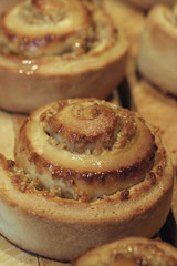 Hefeschnecken