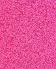 Red sponge pores detail