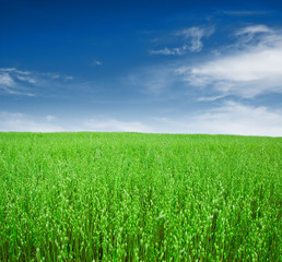 Obraz premium krajobraz