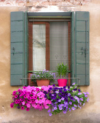 Fototapeta na wymiar Fenster w Wenecji