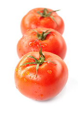 fresh tomatoes on the white background
