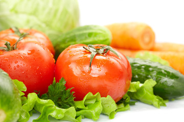 fresh vegetables on the white background
