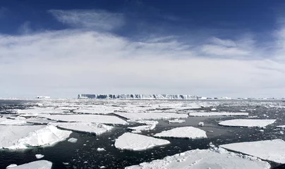 Foto op Canvas Icebergs on Antarctica © Gentoo Multimedia