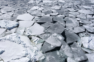 Sea ice on Antarctica © Gentoo Multimedia