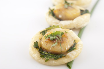 Scallop appetizer
